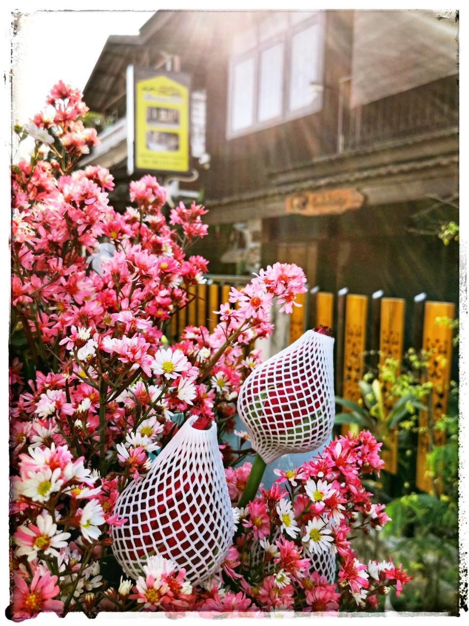 매핑 홈 치앙마이 외부 사진